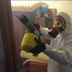 Уничтожение клопов в квартире. Садовая